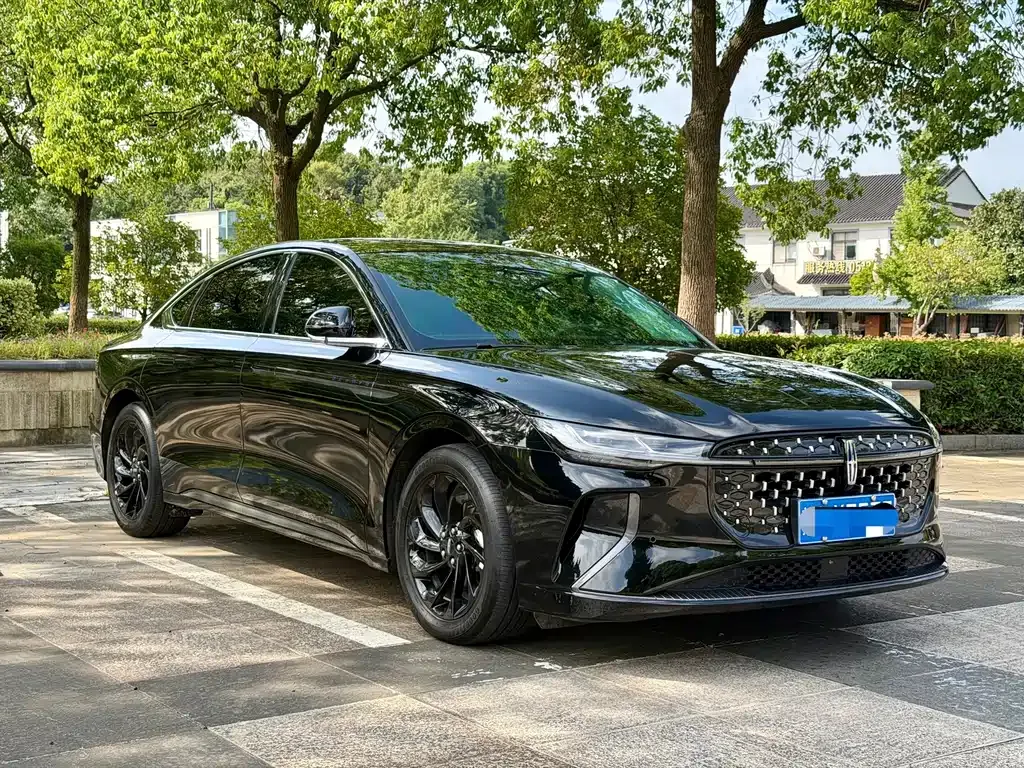 Lincoln Z — фото 10