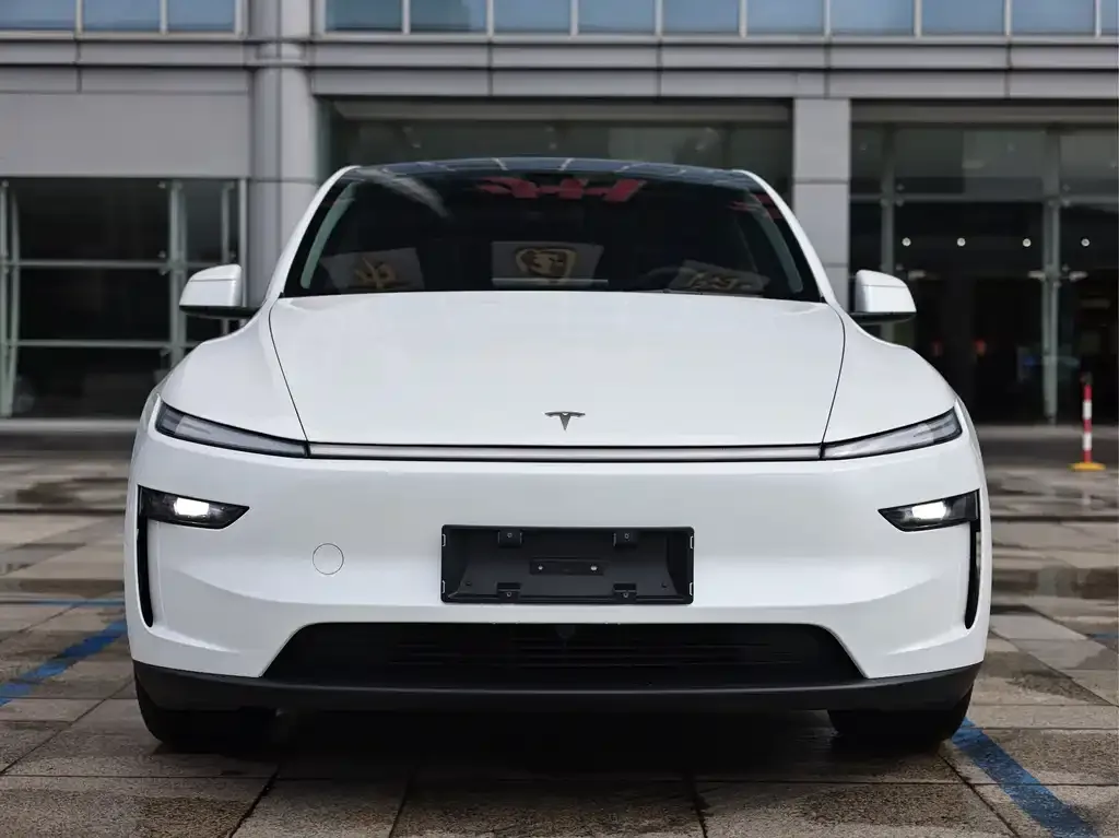 Tesla Model Y — фото 10