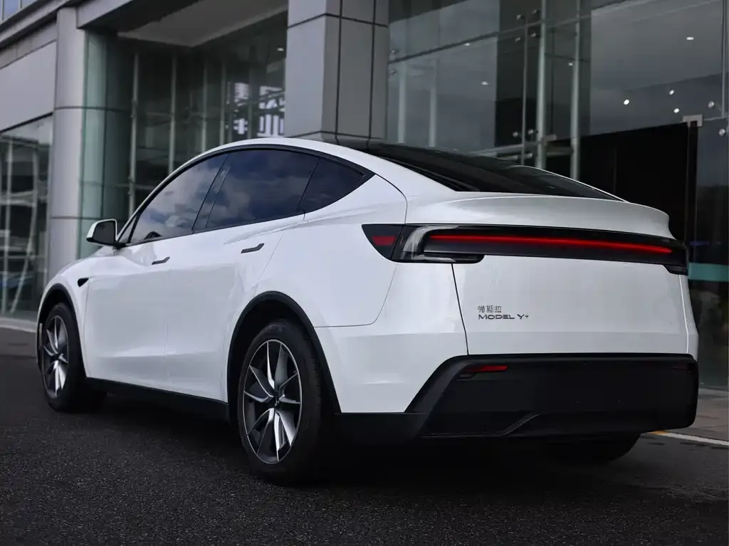 Tesla Model Y — фото 5