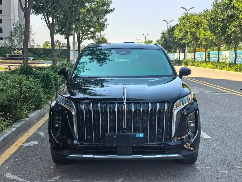 Hongqi HS7 PHEV — фото 7