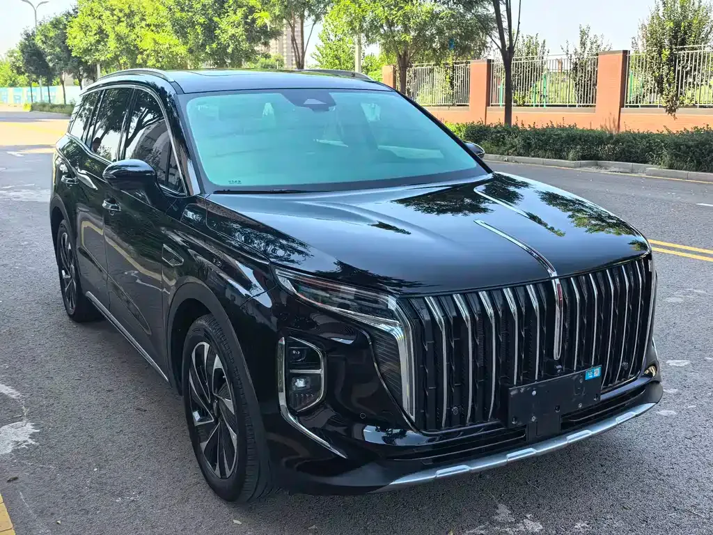 Hongqi HS7 PHEV — фото 8