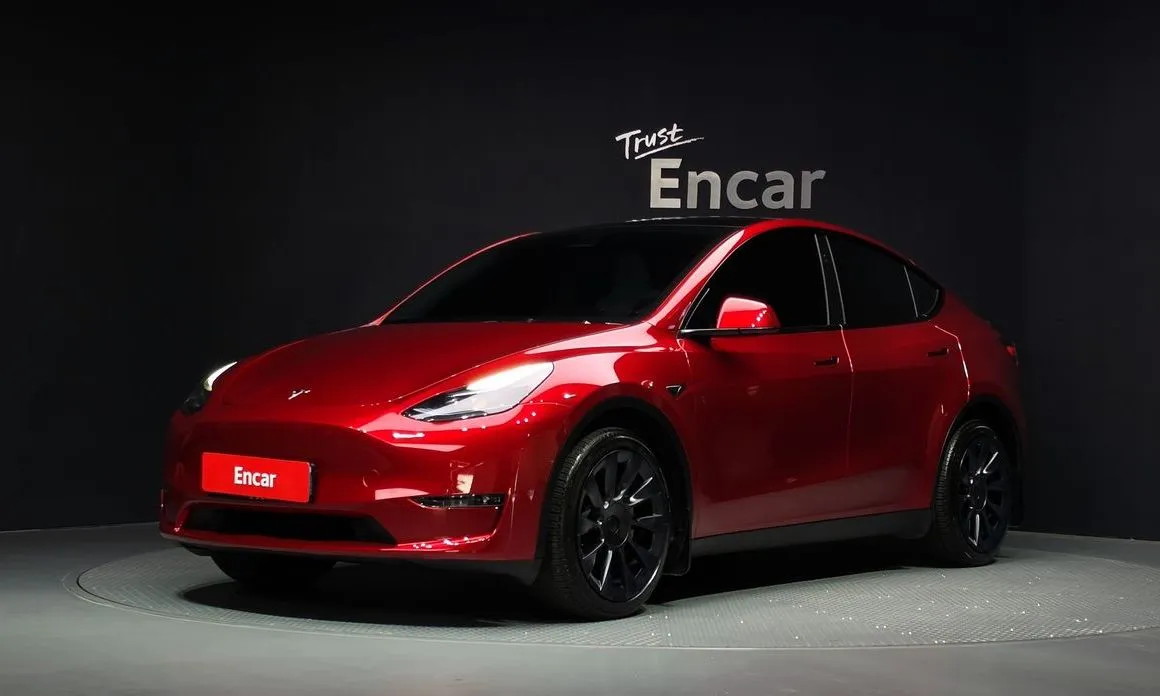 Tesla Model Y — фото 1