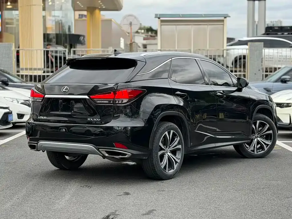 Lexus RX — фото 10