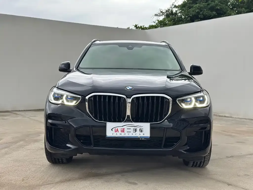 BMW X5 (Import) — фото 6