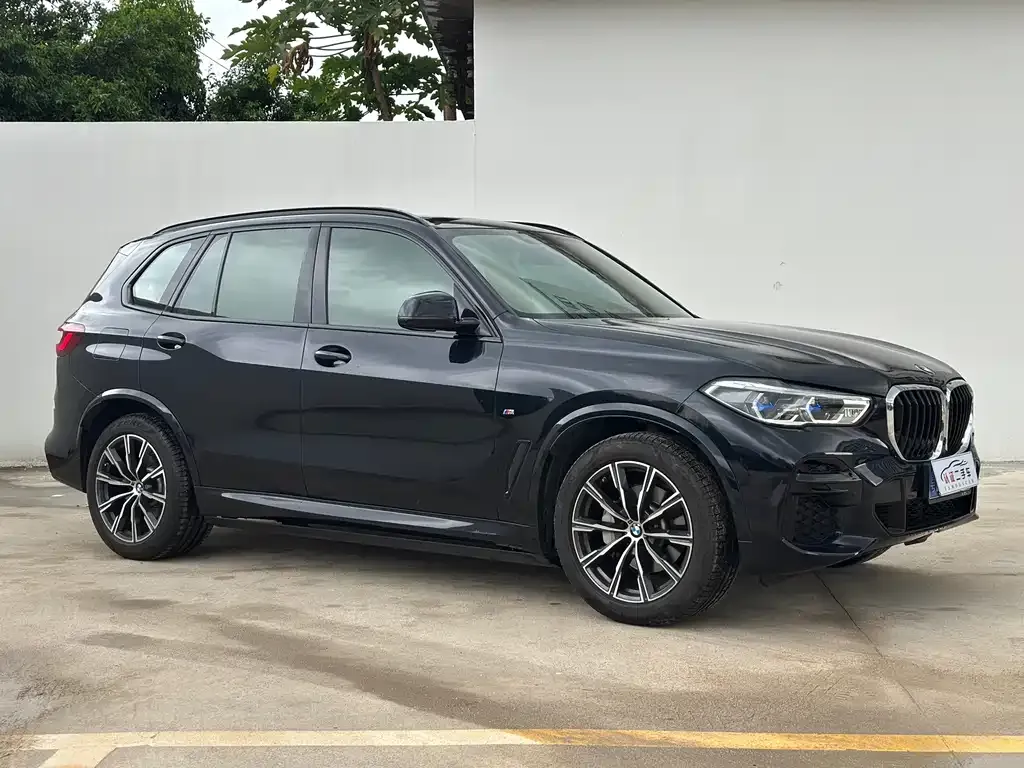 BMW X5 (Import) — фото 9