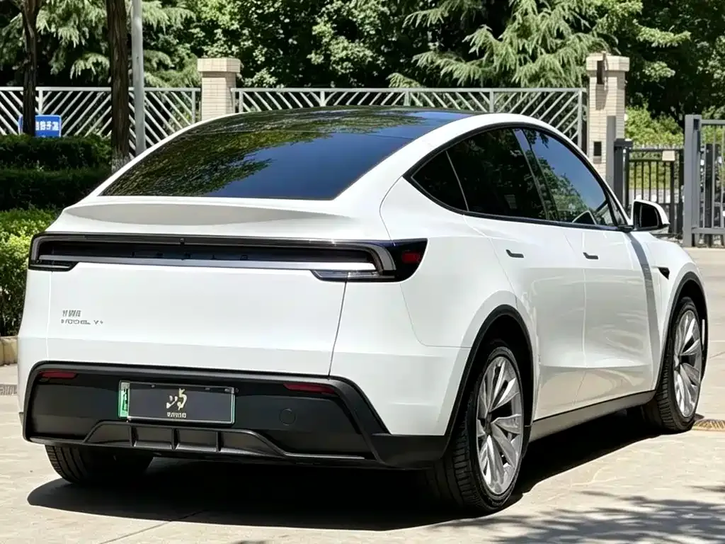 Tesla Model Y — фото 3