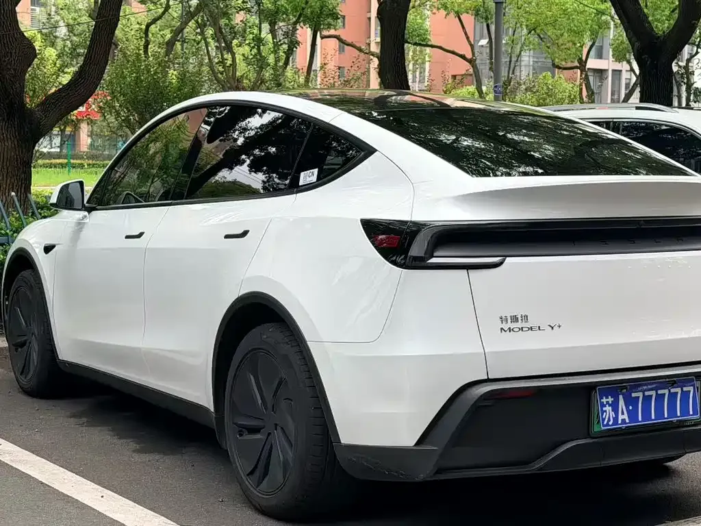 Tesla Model Y — фото 3