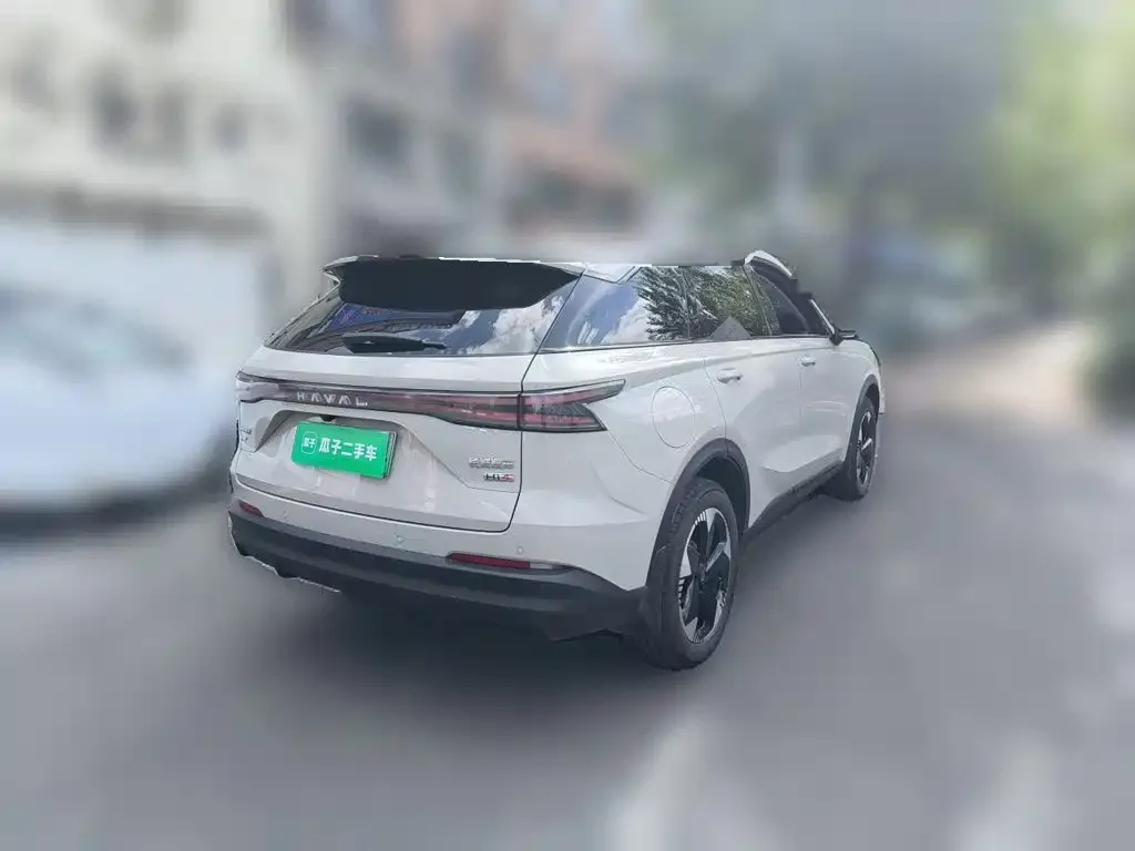 Haval Xiaolong MAX — фото 9