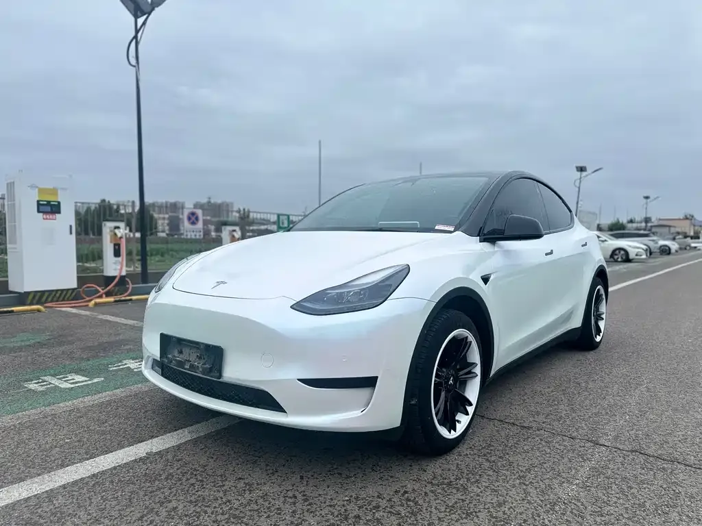 Tesla Model Y — фото 1