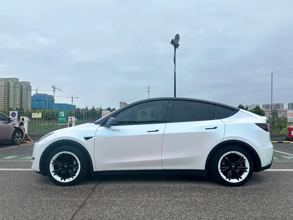 Tesla Model Y — фото 6