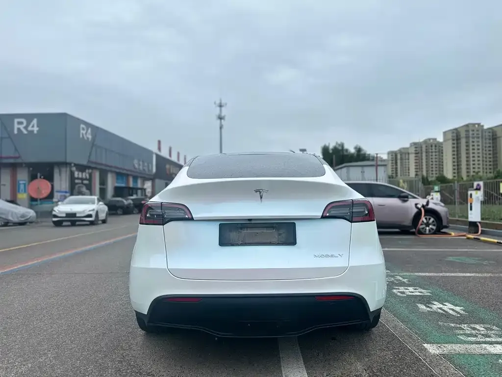 Tesla Model Y — фото 3