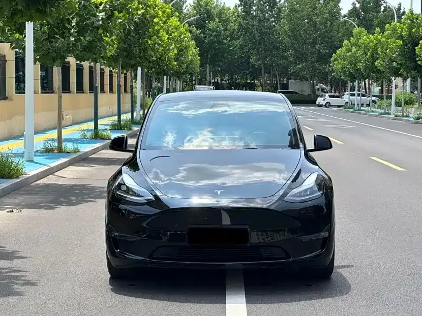 Tesla Model Y — фото 8