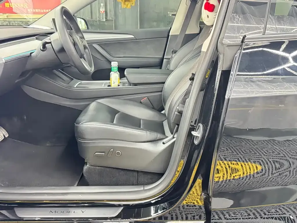 Tesla Model Y — фото 10