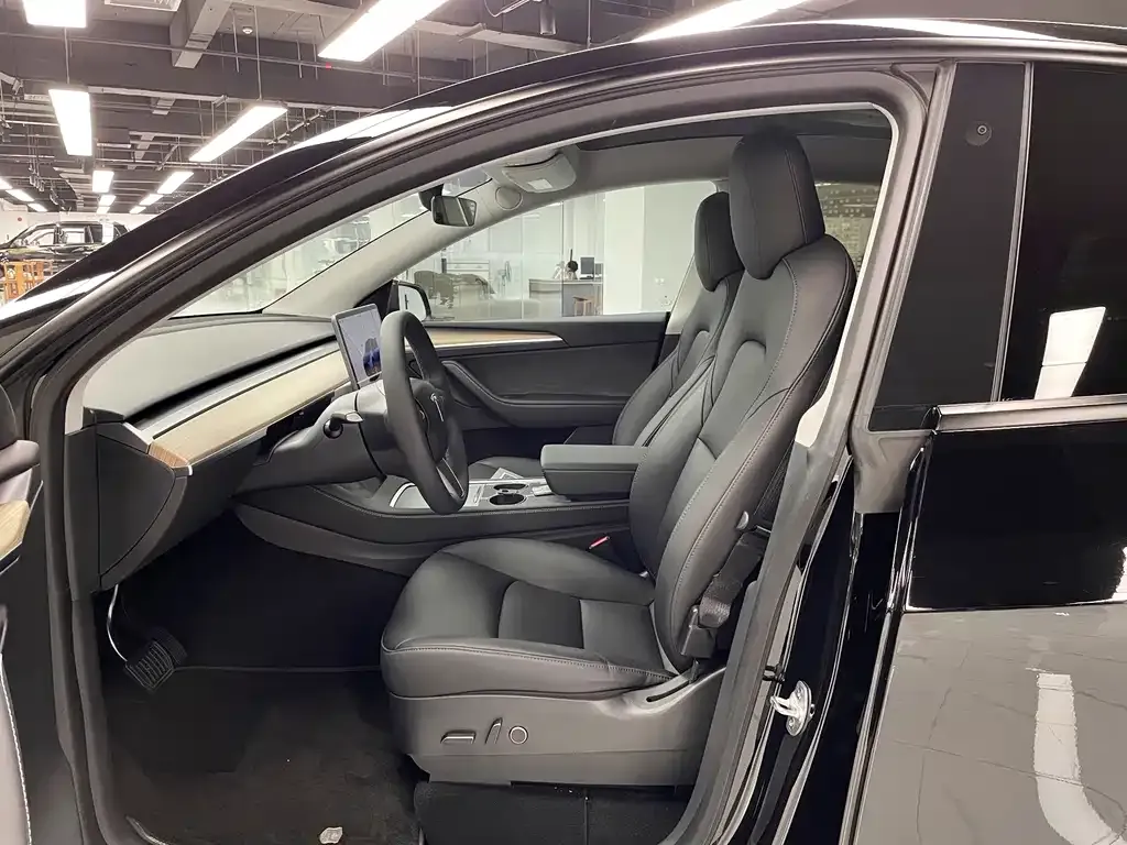 Tesla Model Y — фото 10