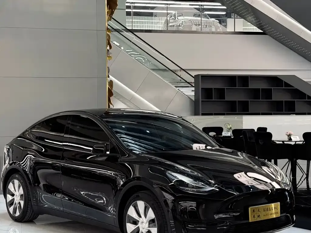 Tesla Model Y — фото 6