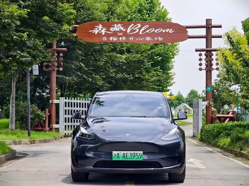 Tesla Model Y — фото 8