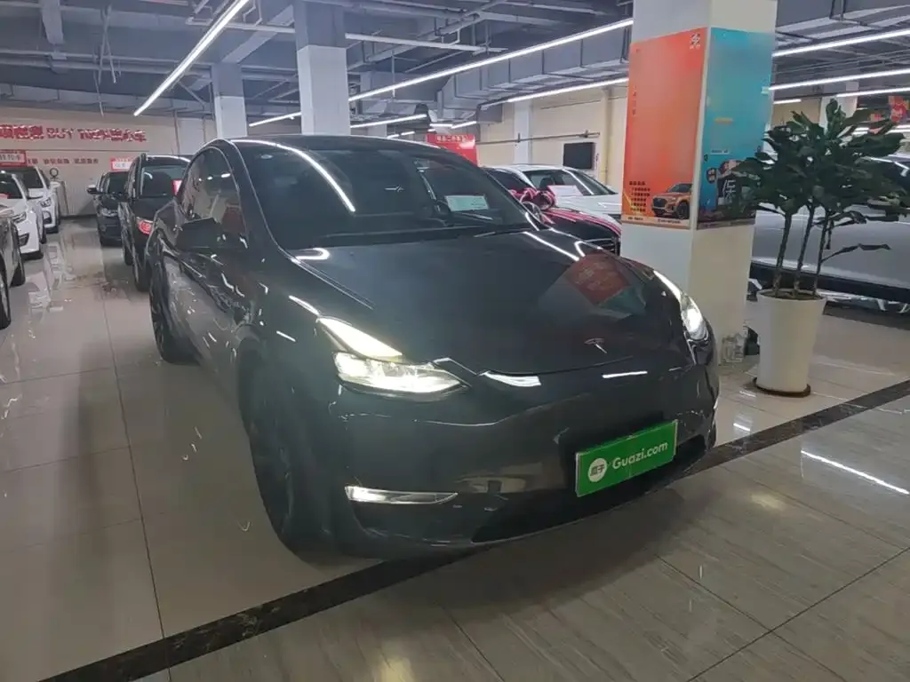 Tesla Model Y — фото 10