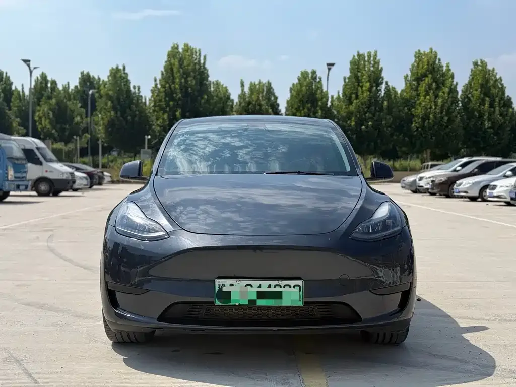 Tesla Model Y — фото 3