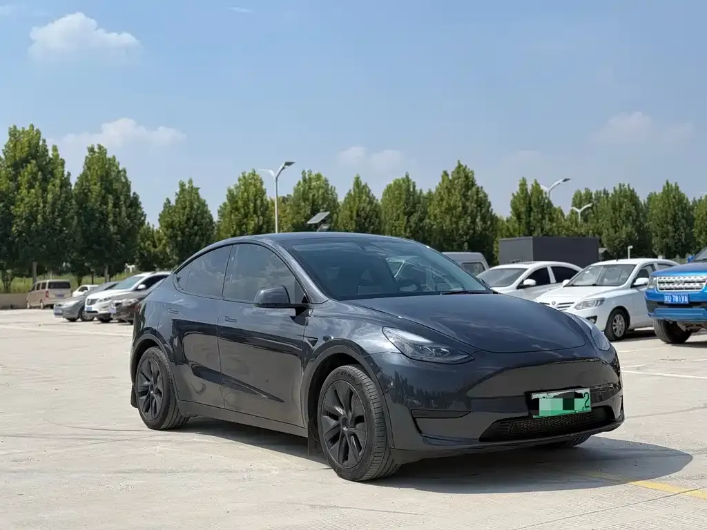 Tesla Model Y — фото 5