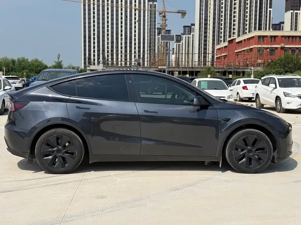 Tesla Model Y — фото 10