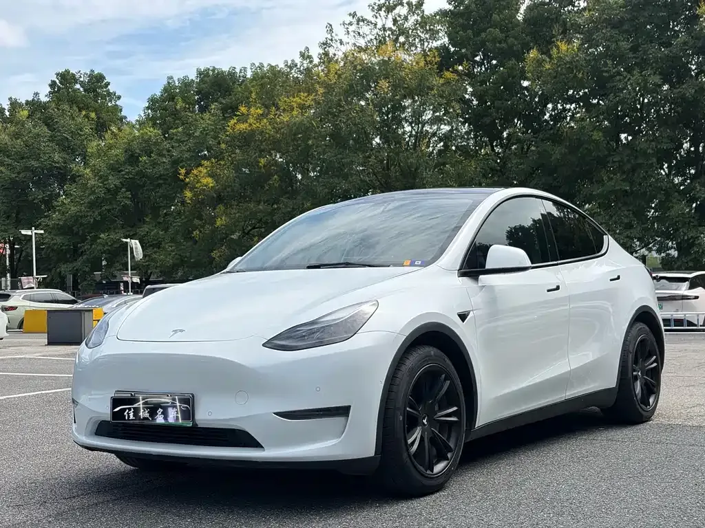 Tesla Model Y — фото 1