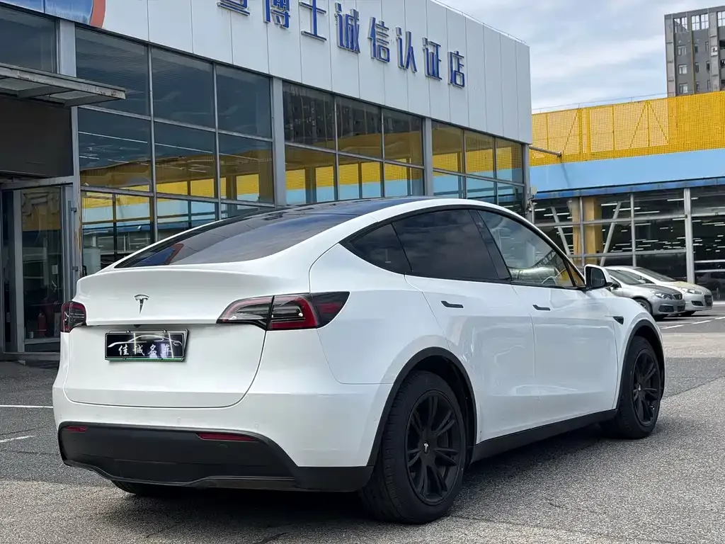 Tesla Model Y — фото 3