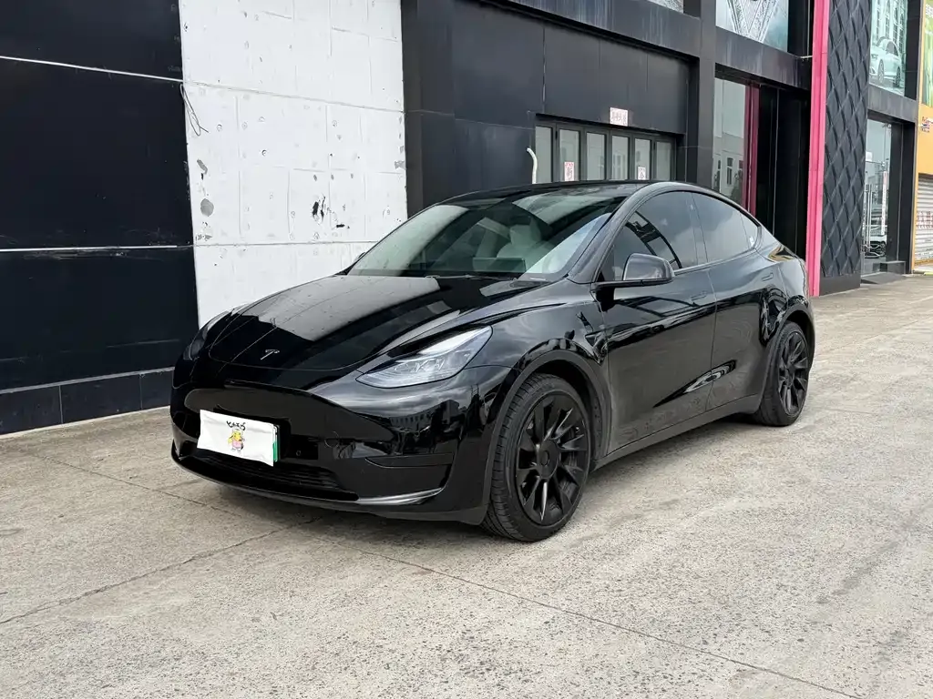 Tesla Model Y — фото 1