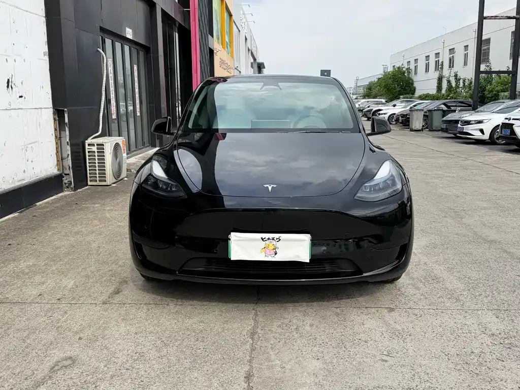 Tesla Model Y — фото 10