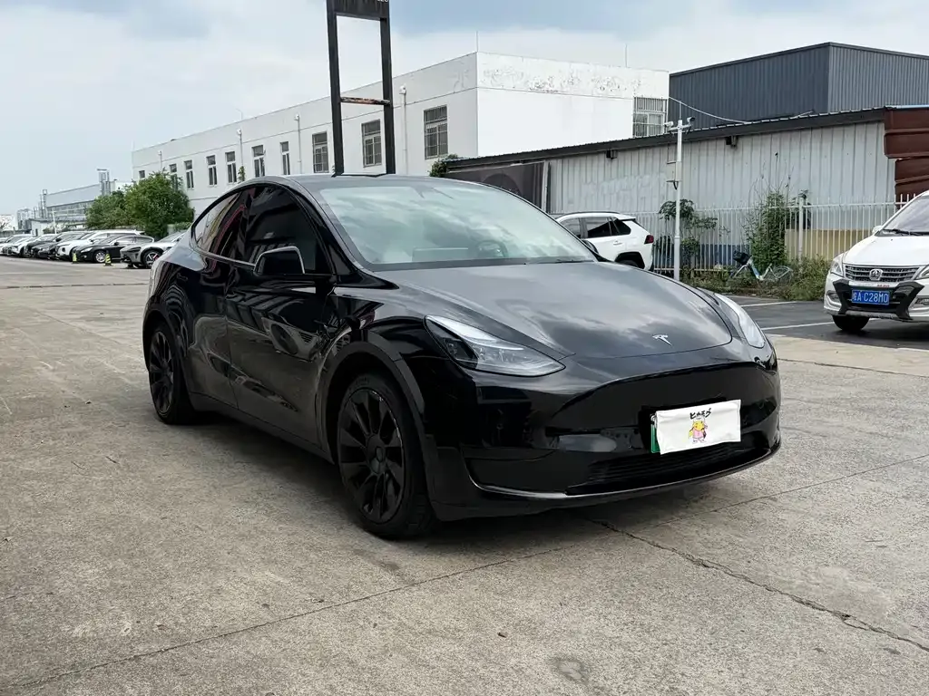 Tesla Model Y — фото 9