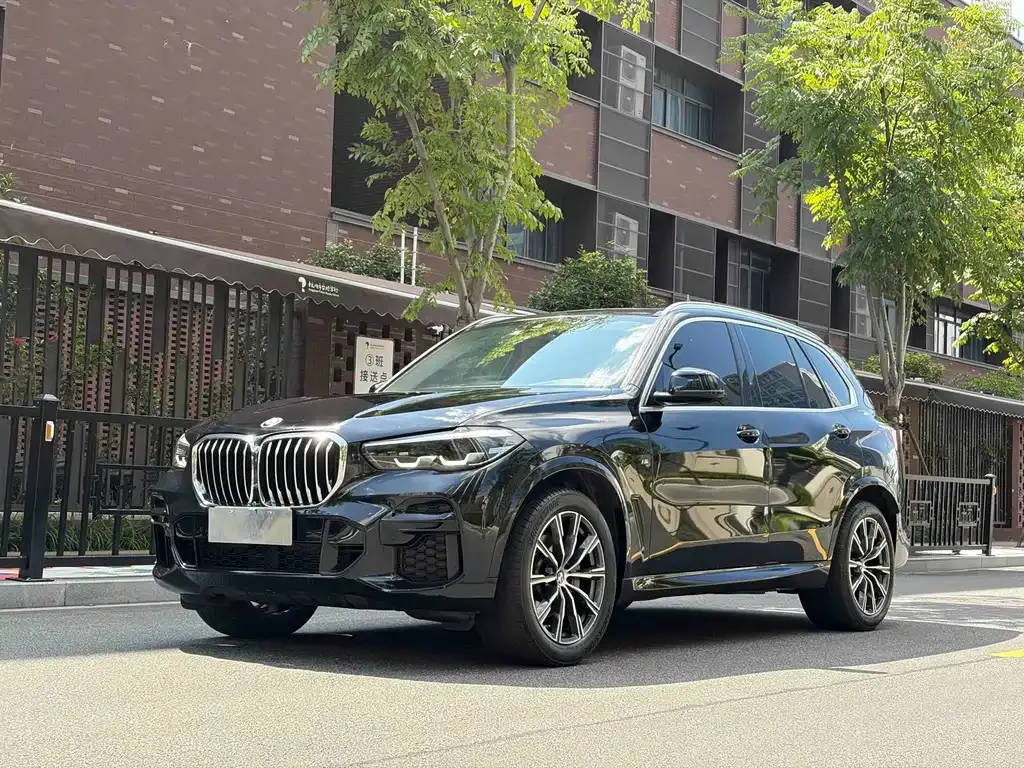 BMW X5 (Import) — фото 1
