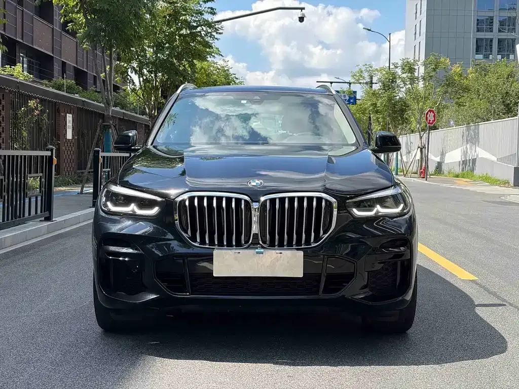 BMW X5 (Import) — фото 8