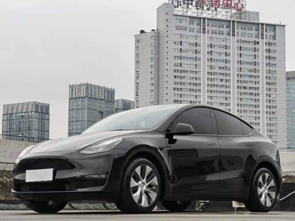 Tesla Model Y — фото 1