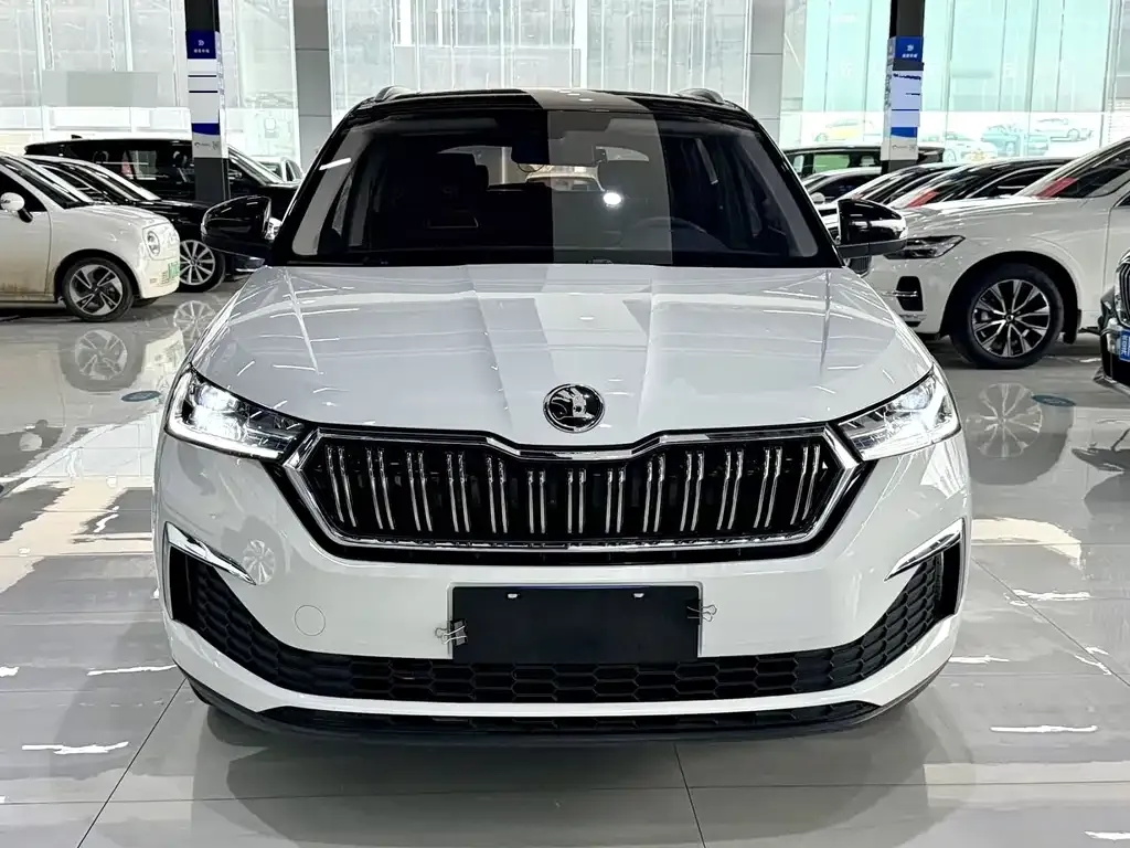 Skoda Kamiq — фото 9