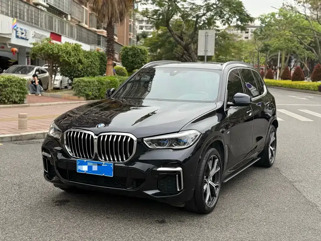 BMW X5 xDrive 40Li M Sport 1