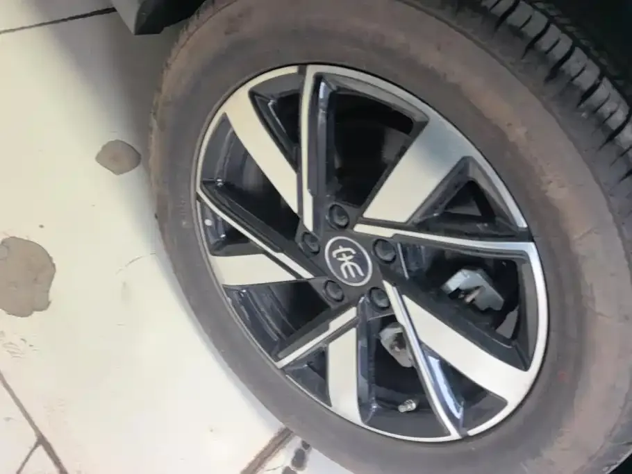 BYD Pro New Energy — фото 4