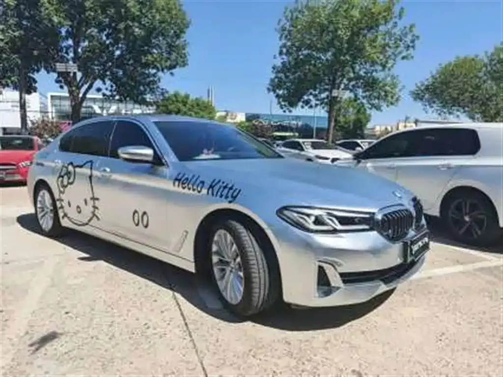 BMW 5 Series New Energy — фото 9