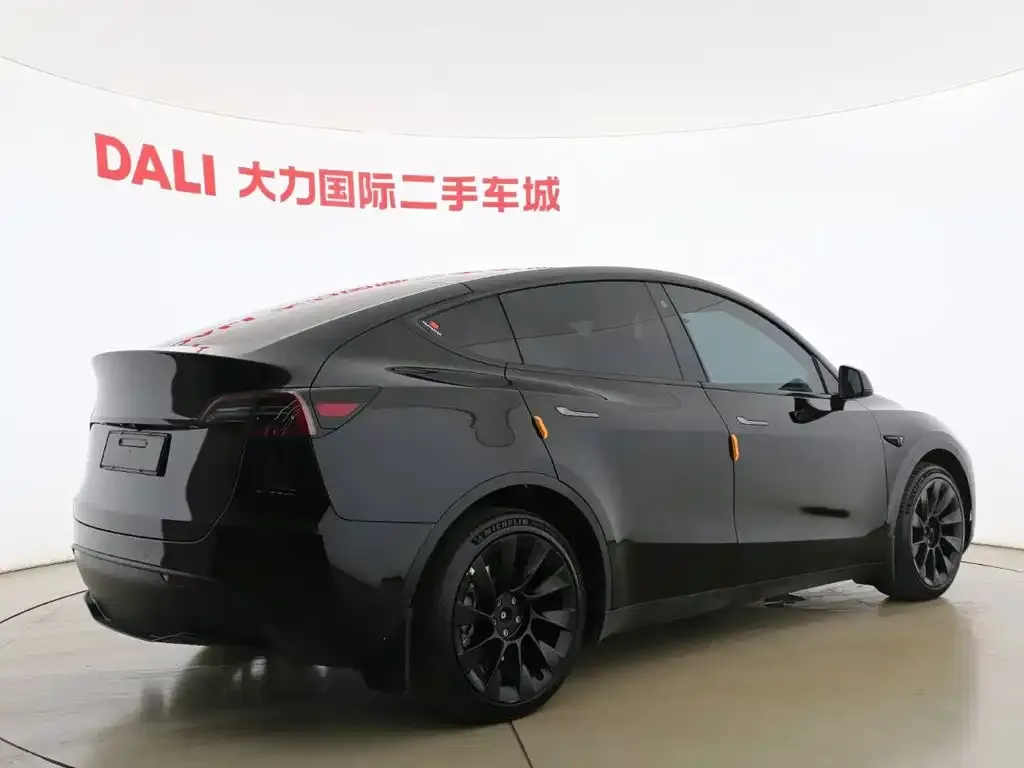 Tesla Model Y — фото 5