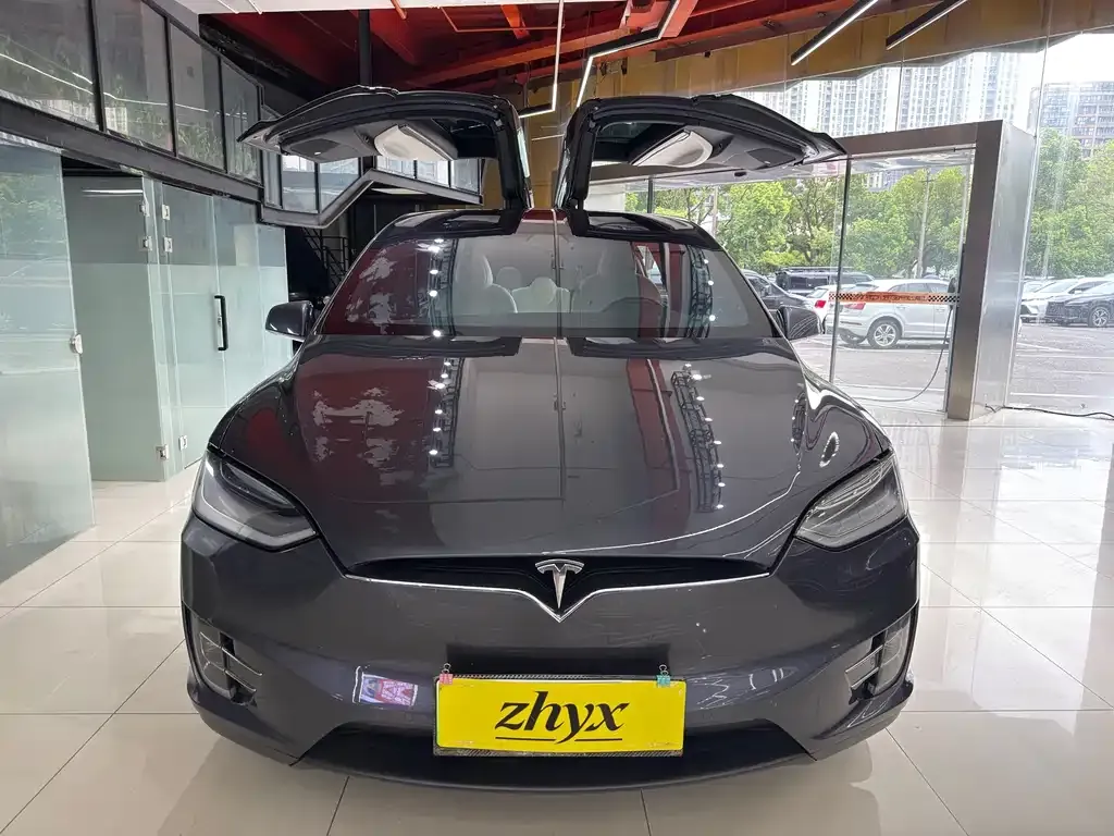 Tesla Model X — фото 6