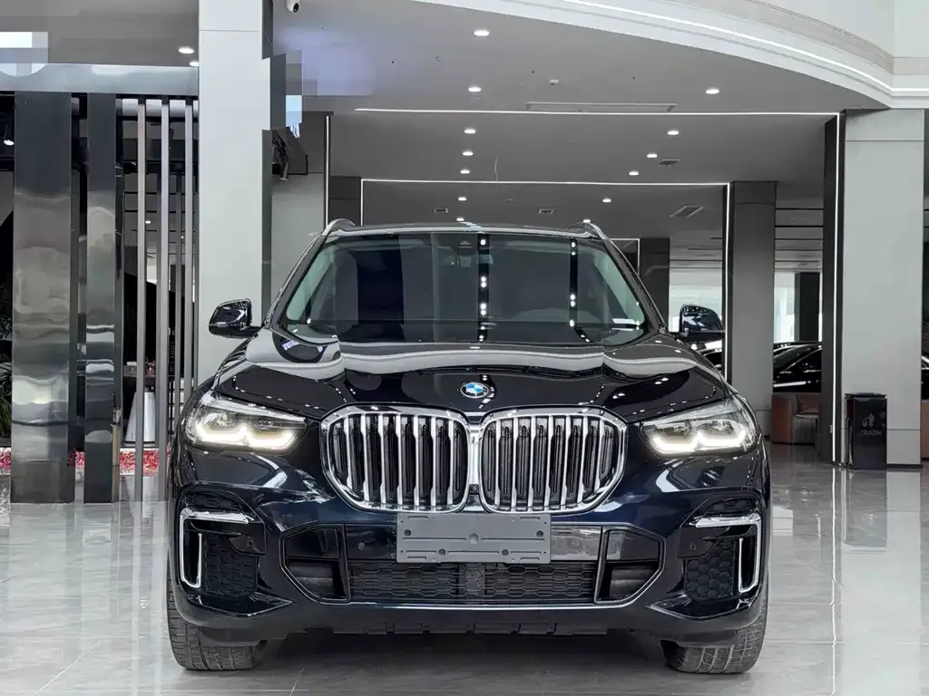 BMW X5 — фото 5