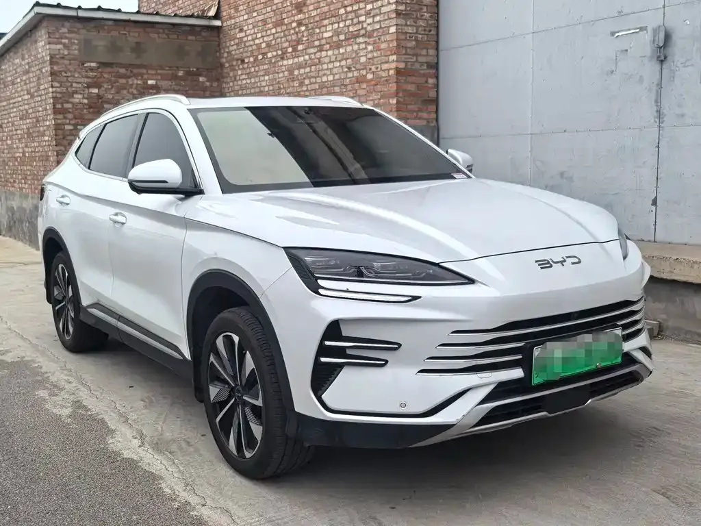 BYD PLUS New Energy — фото 9