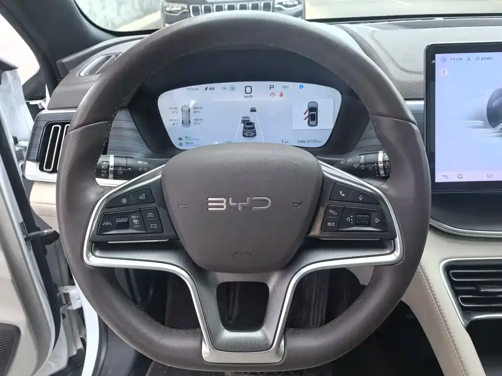 BYD PLUS New Energy — фото 10