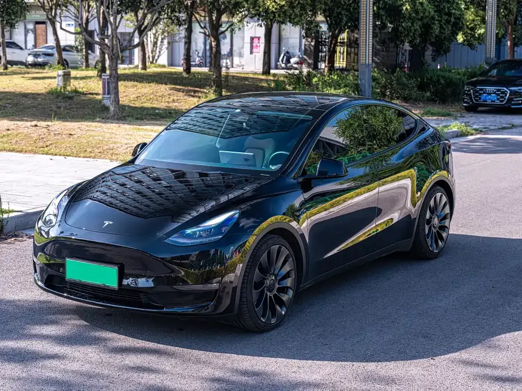 Tesla Model Y — фото 1