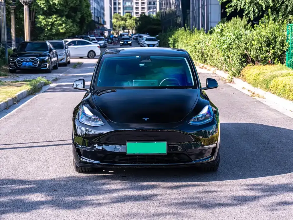 Tesla Model Y — фото 7