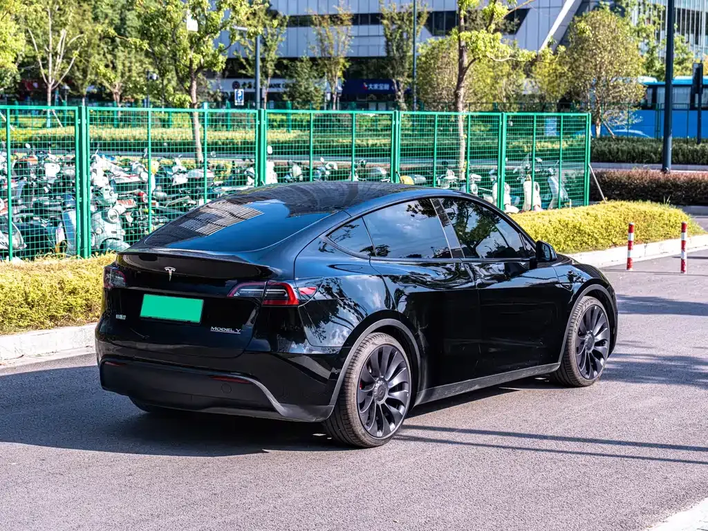 Tesla Model Y — фото 10