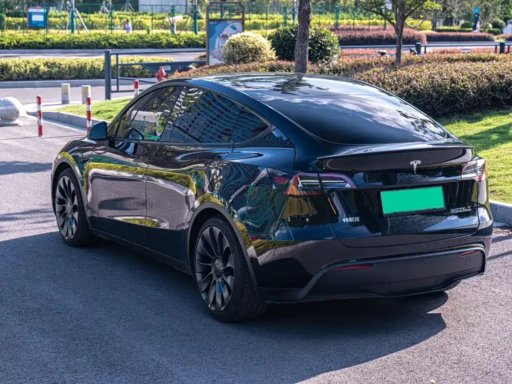 Tesla Model Y — фото 6