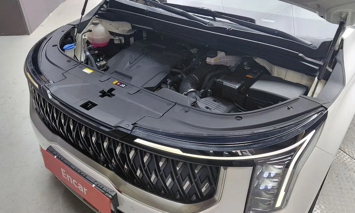 Kia Carnival — фото 10