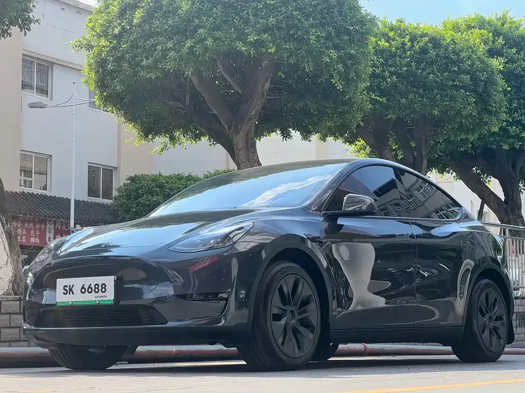 Tesla Model Y — фото 1