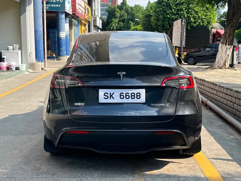 Tesla Model Y — фото 8