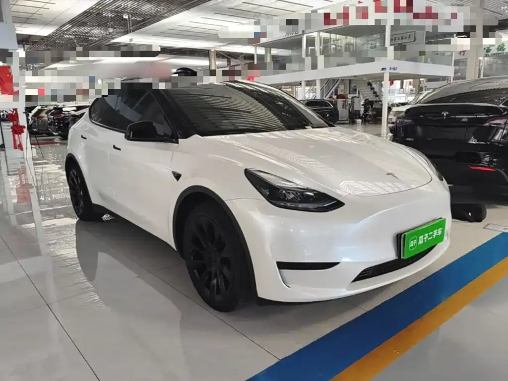 Tesla Model Y — фото 6