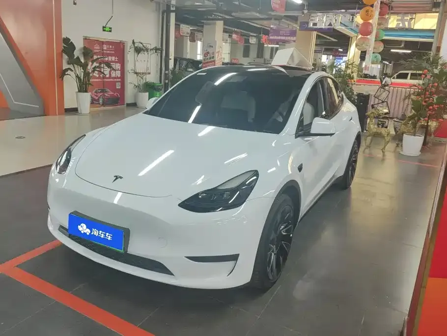 Tesla Model Y — фото 1